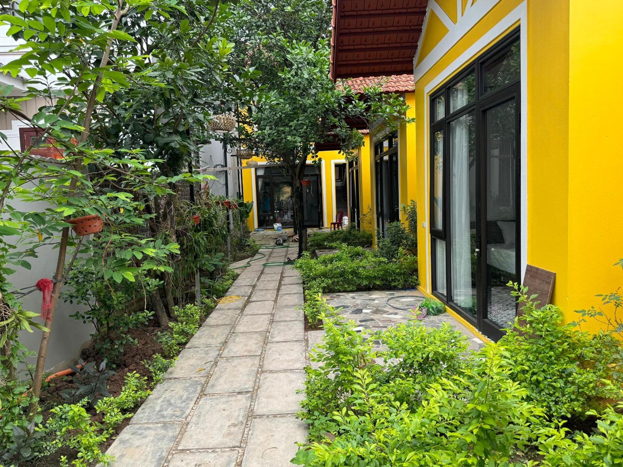 Gasthaus Azalea Tam Coc Ninh Binh Exterior foto